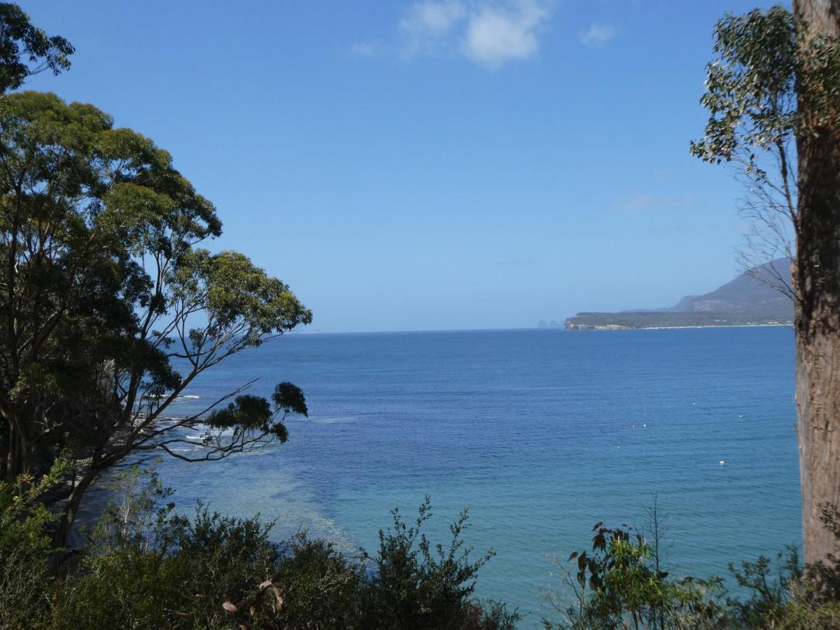 Osprey Lodge & Bungalow Eaglehawk Neck Exterior foto