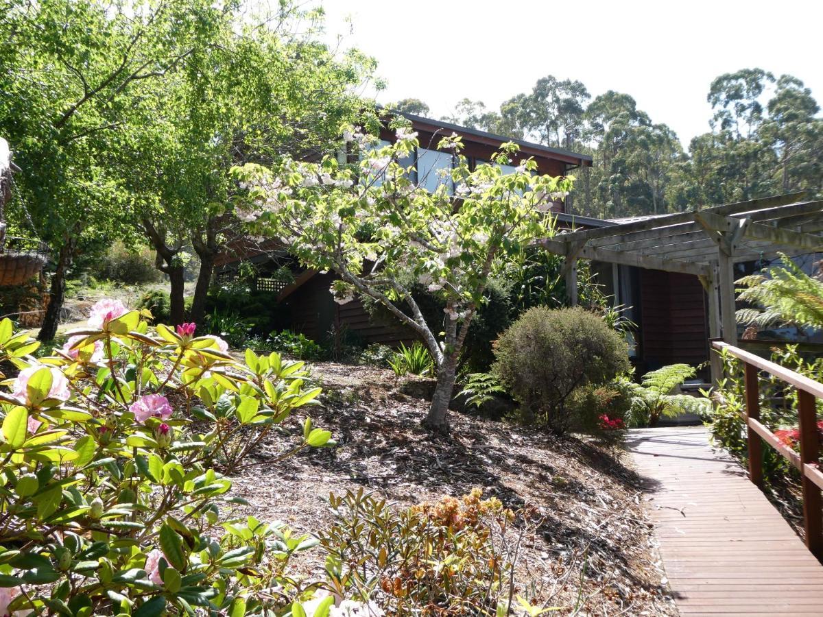 Osprey Lodge & Bungalow Eaglehawk Neck Exterior foto